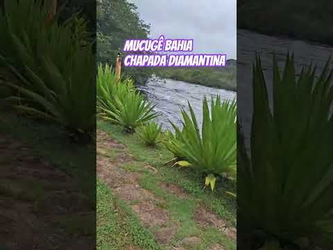 forte chuvas em chapada Diamantina Mucugê Bahia