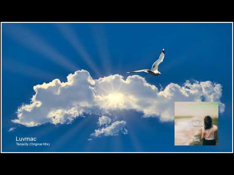 Luvmac - Tenacity (Original Mix) [Summer Melody]