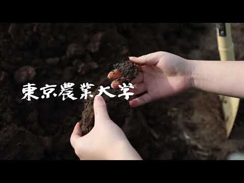 東京農業大学 Short Movie