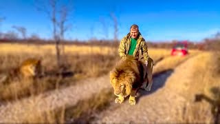 Des choses amusantes qui se sont produites lors de nos voyages chez les lions !