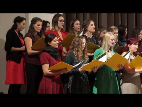 Der Weg zu dir (Lorenz Maierhofer)