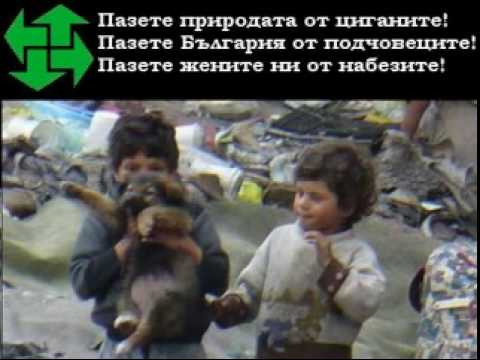 Единака - Плюя