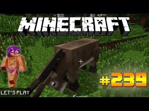 MINECRAFT #239: Ein namenloser Esel [LET'S PLAY] [1080p] [DEUTSCH]