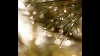 Perles De Pluie Lyrics English Translation