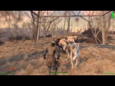 How It SHOULD Go vs How It's Going - Fallout 4 Survival Permadeath - Melee Only - Desolation Mode