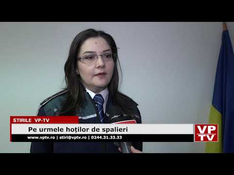 Pe urmele hoților de spalieri