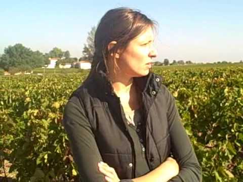 Chateau Latour – 2009 vintage