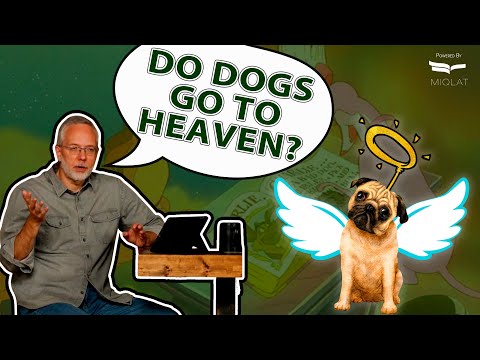 Do Animals Have SOULS?