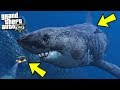 Resized Megalodon Shark [MEG: Monster of the Depth] 3