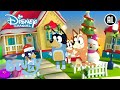 Kerst Koekjes Bakken | Bluey | Disney Channel NL