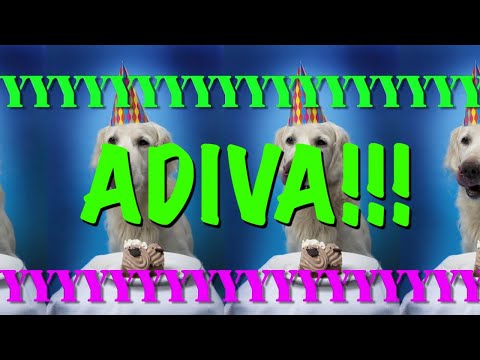 HAPPY BIRTHDAY ADIVA! - EPIC Happy Birthday Song