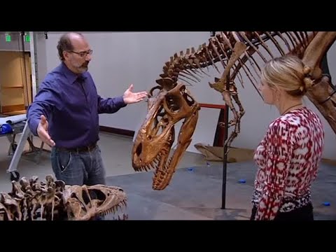 How To Build A Dinosaur