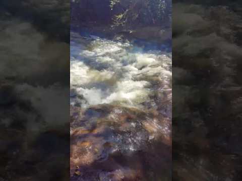 beleza do rio surucuá escondido na cidade de Tamboara Pr