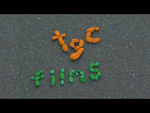 We made all our film's title cards practical.