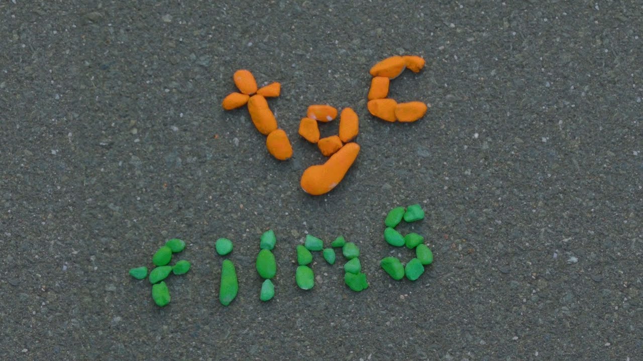 Miniature de la vidéo We made all our film's title cards practical. du film Pebble Pockets