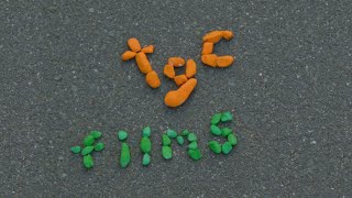 We made all our film's title cards practical.
