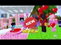 Using a LOVE TESTER in Minecraft REVIEW!!