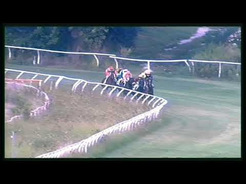 Galoppo 26/08/2020 - 3ª corsa