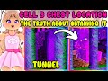 Cell 3 Dungeon Chest Location The Truth About Obtaining It Royale High Update News