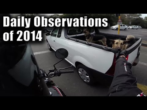 Daily Observations of 2014 - Motomia Enzo 150cc