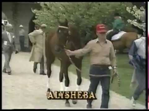 Horse Racing - 1987 - Belmont Stakes - History & Highlights Of Alysheba As He Goes For Triple Crown