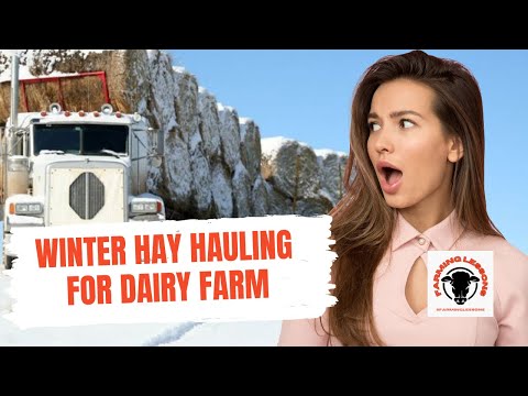 , title : 'Winter Hay Hauling - Best Ways for Efficiently Feeding Hay to Cattle'