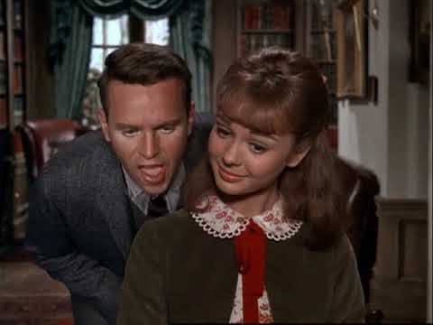 Tammy Zand The Millionaire (1967) l Family Classics Debbie Watson