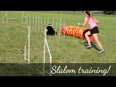 Slalom training!