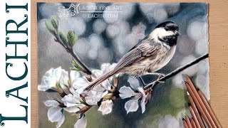 Caran d'Ache Luminance review & colored pencil demo w/ Lachri