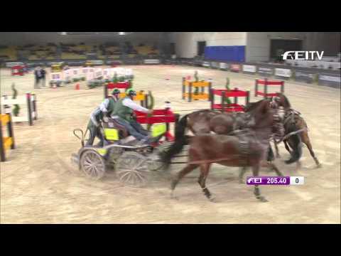 FEI World Cup™ Driving 2013/14 Verona - Theo Timmerman 3rd