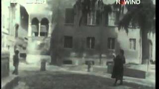 Lucio Dalla - La signora di Bologna