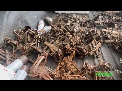 Painting Predator traps getting ready for the upcoming 2021 season.☺️