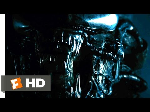 Alien (1979) - The Alien Appears Scene (3/5) | Movieclips