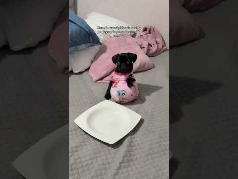 Monserrat luego de medio kilo de pollo🤰