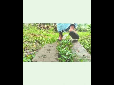 Natural view of my home❤️ .shot by one plus N10। Intisar Ahmed Rishat Vlog