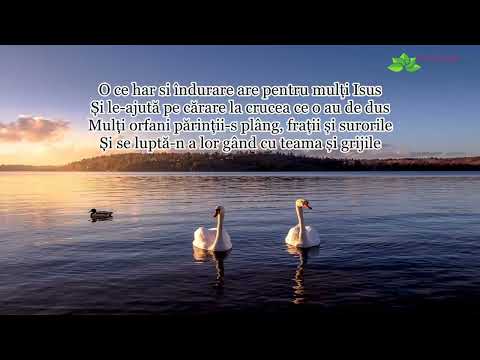 Iulian Czegenyi “Câtă binecuvântare lasă Dumnezeu de sus”