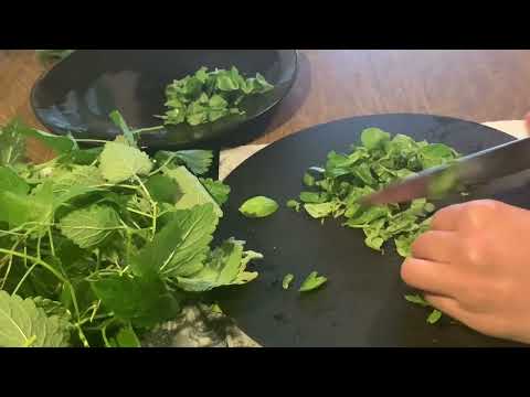 Basilikum einfrieren, super einfach 👍🏼 @EmmaMarleensWelt