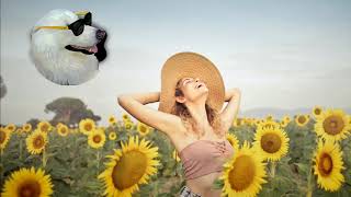 🤩Revive - INOSSI (No Copyright Music) Free😇