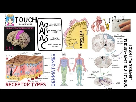 INSTANT NEURO - Touch