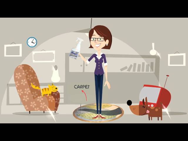 CJ's Cleaning Services - Newstead, TAS