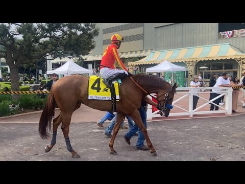 Defunded wins the Grade I Hollywood Gold Cup at Santa Anita Park