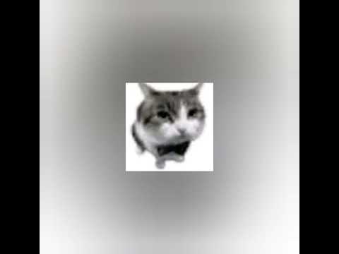 MONTAGEM VELOCIDADE DA LUZ ⚡ (Slowed & Reverb)- (DJ MP7013, DJ VTL & DJ JHOW ZS)