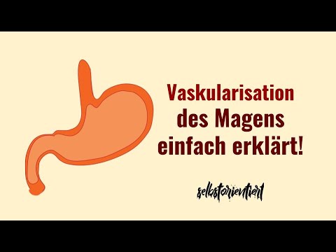 Vaskularisierung des Magens einfach erklärt! - Arterien | Venen | Arterielle Versorgung | Magenvene