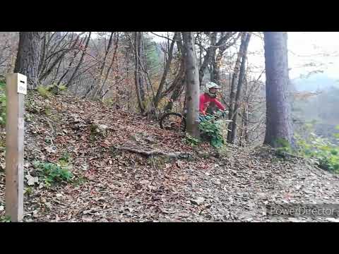Fails of "Shreding in Bike park Idrija