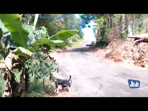 BOTUJURU RECLAMAÇÃO