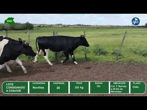 Video del lote L0-000864