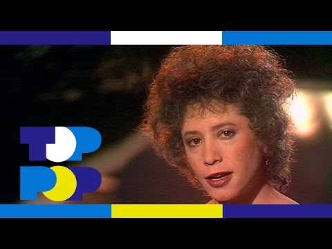Fly Too High - Janis Ian