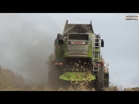 Mais dreschen nonstop - Claas Lexion 740 und 560 - Landw. Lohnbetrieb Zollner - Maisernte 2022