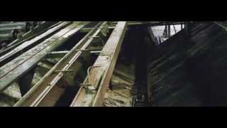 Plain White Ts - The Giving Tree (Official Video)