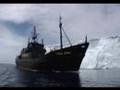 Antarctic Whale Defense [ Operation Migaloo ] 2007-2008